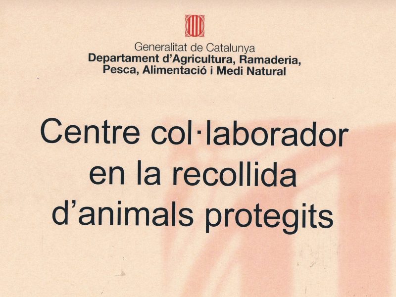 Acreditació Generalitat centre recollida animals silvestres