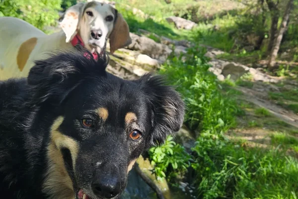 F Bruni-KiraGladysChacon