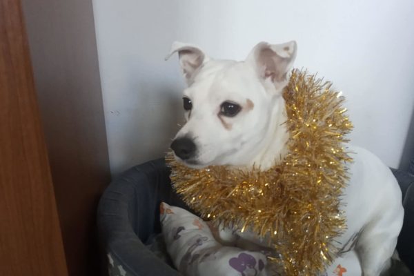 Lluna