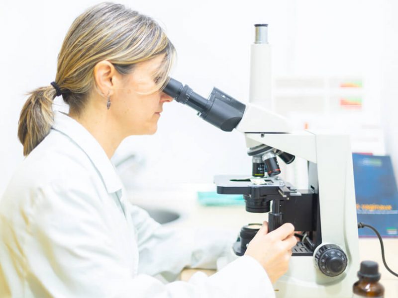 Veterinària mira una mostra al microscopi del laboratori de Centre Veterinari Centelles